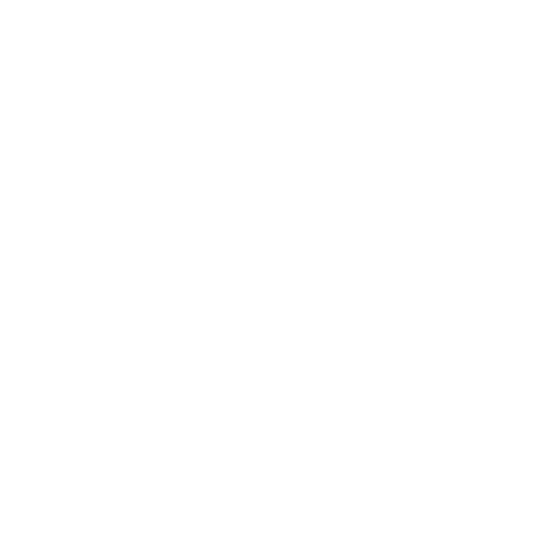 Baja 1000 Race logo
